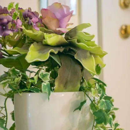 Juliet House Penzion Verona